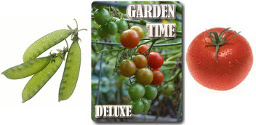 Garden Time